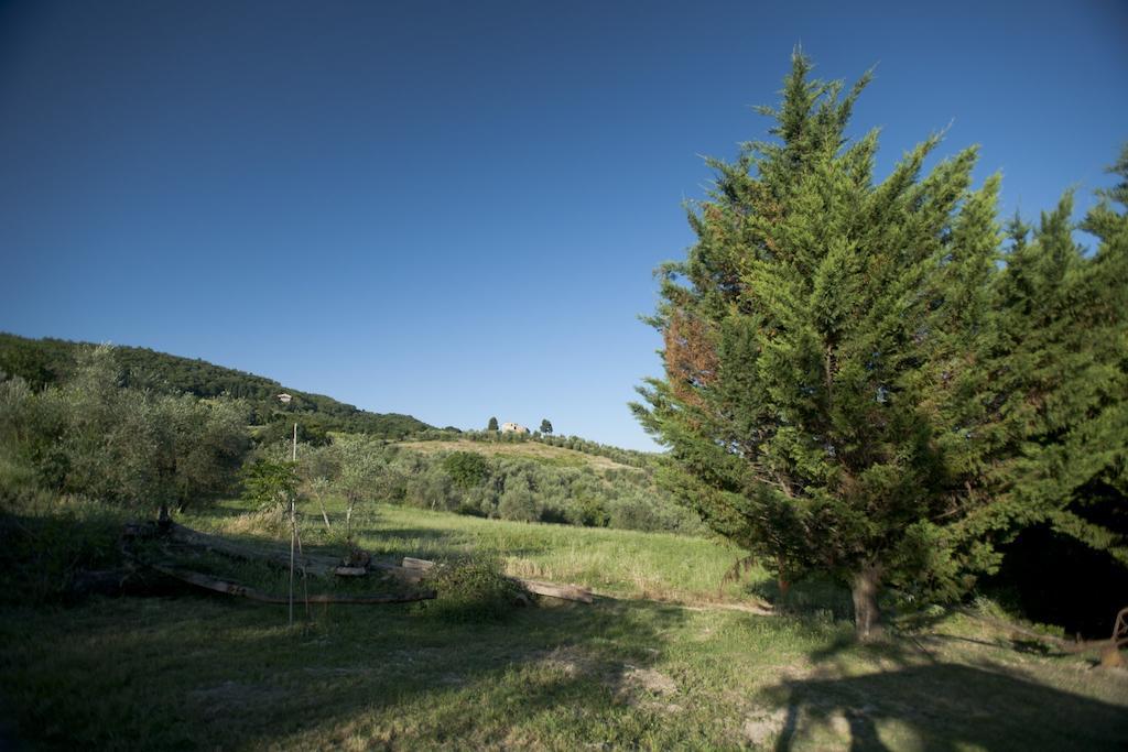 Pelago Agriturismo La Pieve מראה חיצוני תמונה
